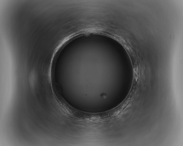 X0000116270196200912071049