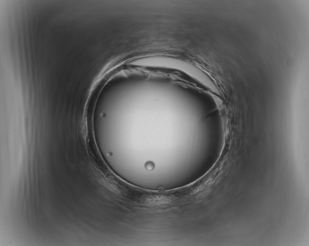 X0000116270198200912071049