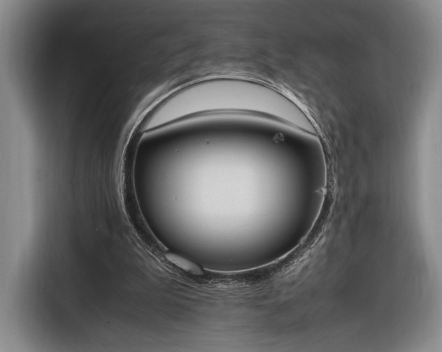 X0000116270199200912071049