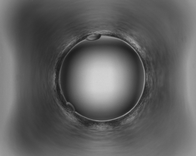 X0000116270201200912071049