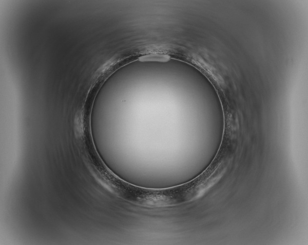 X0000116270203200912071049