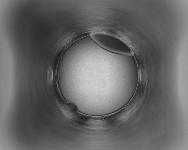 X0000116270205200912071049