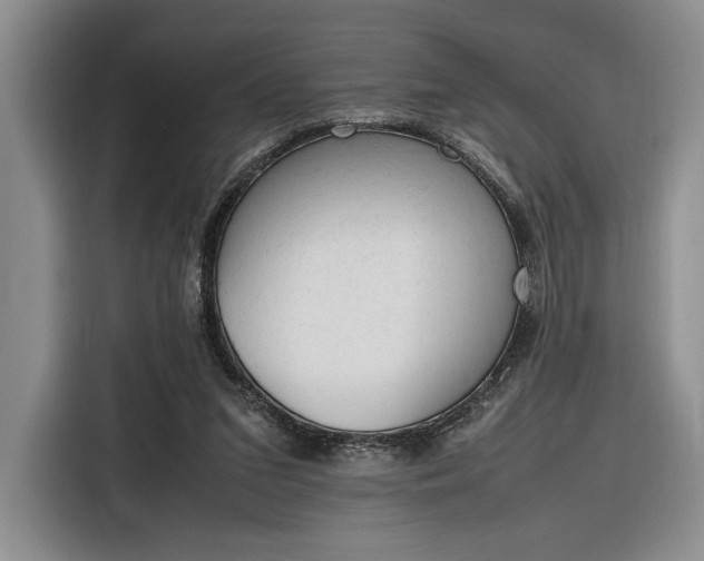 X0000116270207200912071049