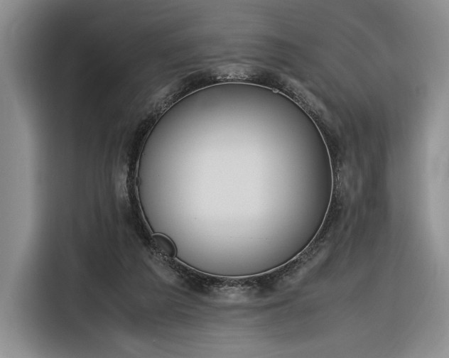 X0000116270209200912071049