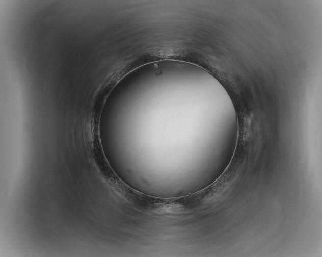 X0000116270210200912071049