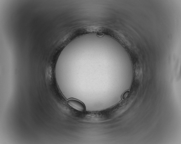 X0000116270211200912071049