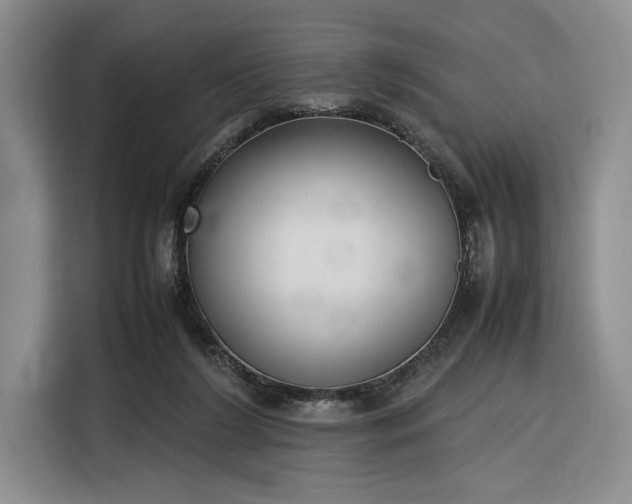 X0000116270212200912071049
