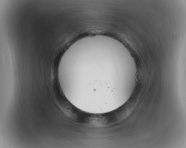 X0000116270215200912071049