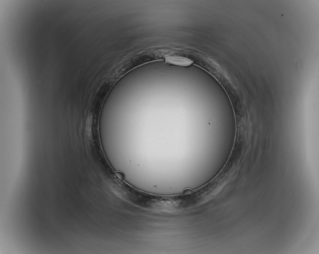 X0000116270217200912071049