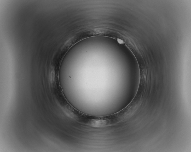 X0000116270220200912071049