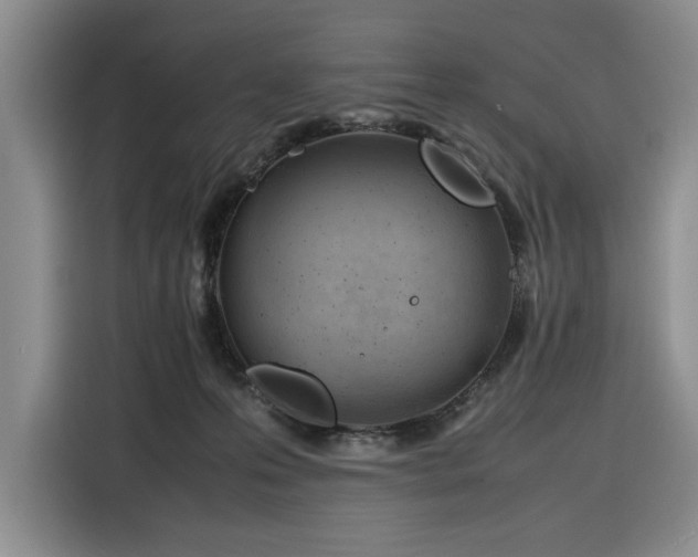 X0000116270223200912071049