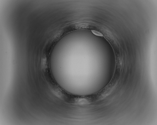 X0000116270224200912071049