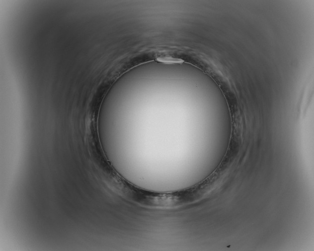 X0000116270225200912071049