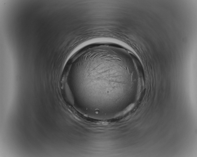 X0000116270227200912071049
