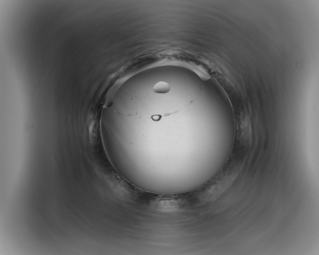 X0000116270228200912071049