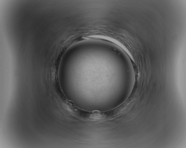 X0000116270231200912071049