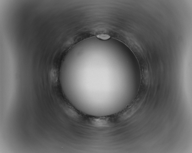 X0000116270232200912071048