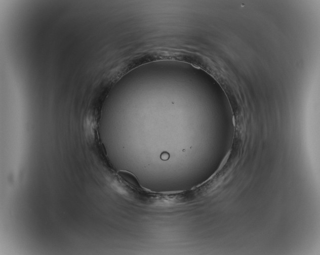 X0000116270235200912071048