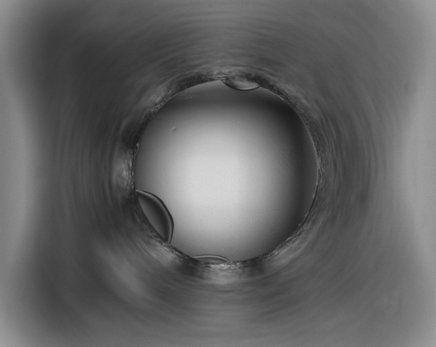 X0000116270240200912071048