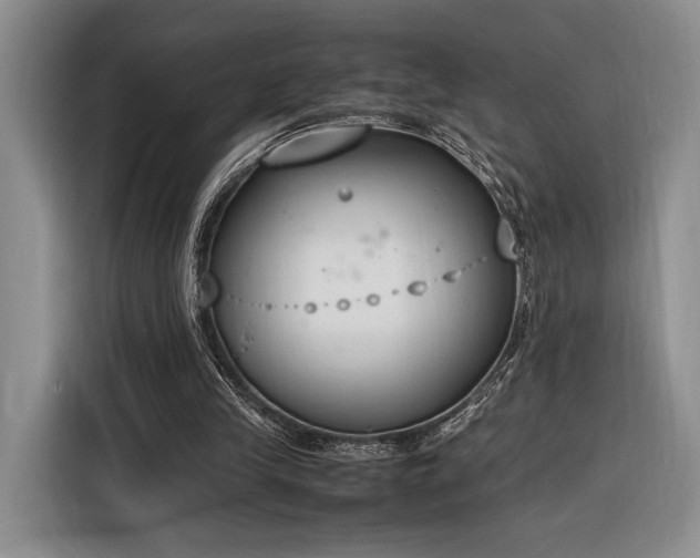 X0000116270245200912071048