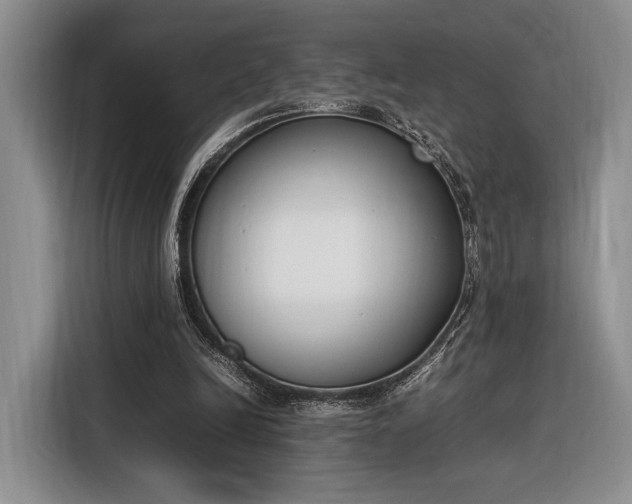 X0000116270246200912071048