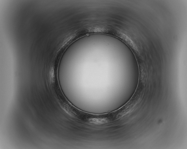 X0000116270251200912071048