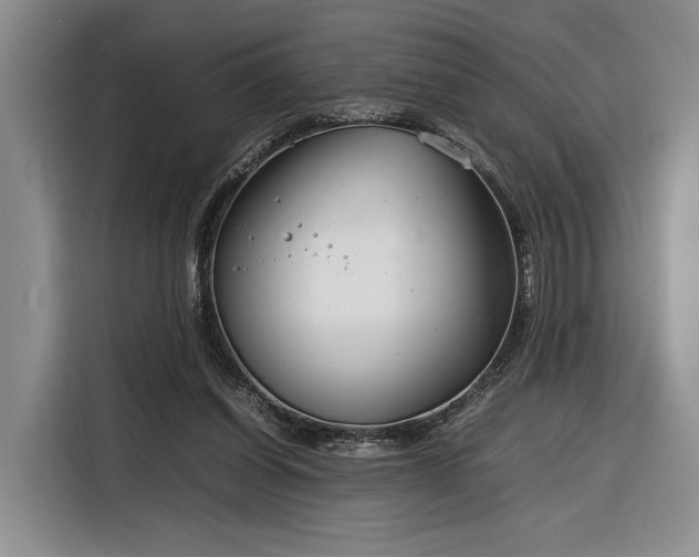 X0000116270254200912071048