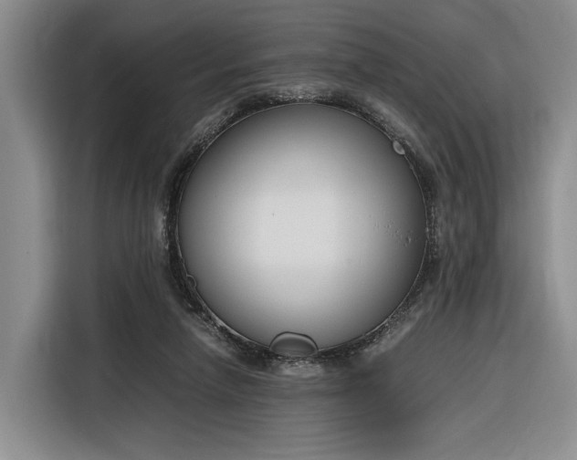 X0000116270258200912071048