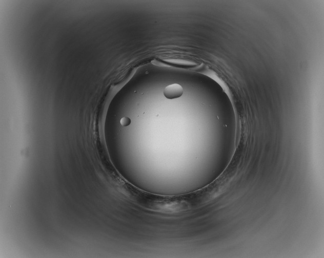 X0000116270267200912071048