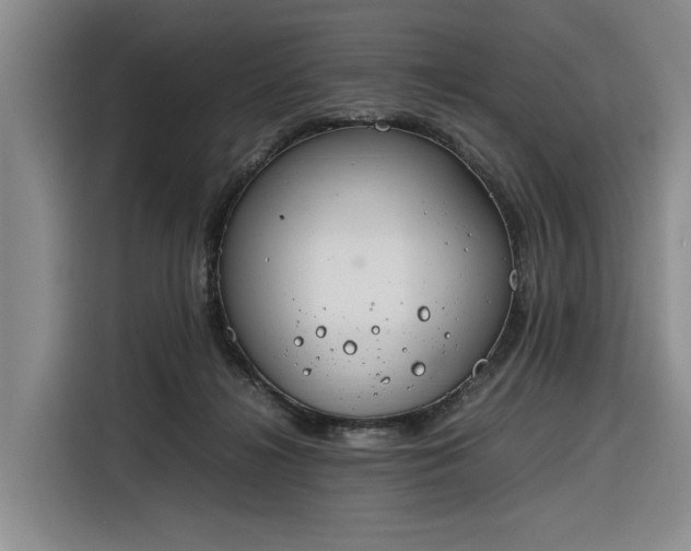 X0000116270268200912071048