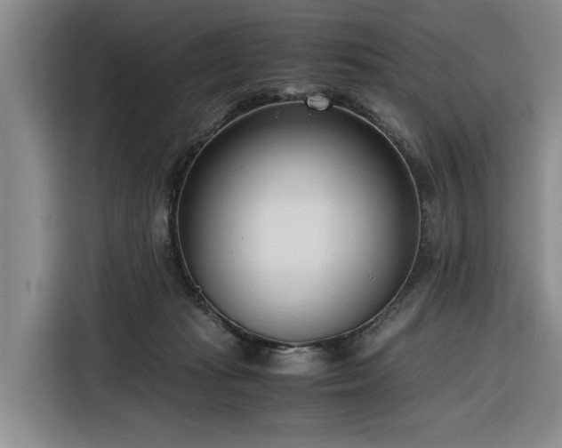 X0000116270269200912071048