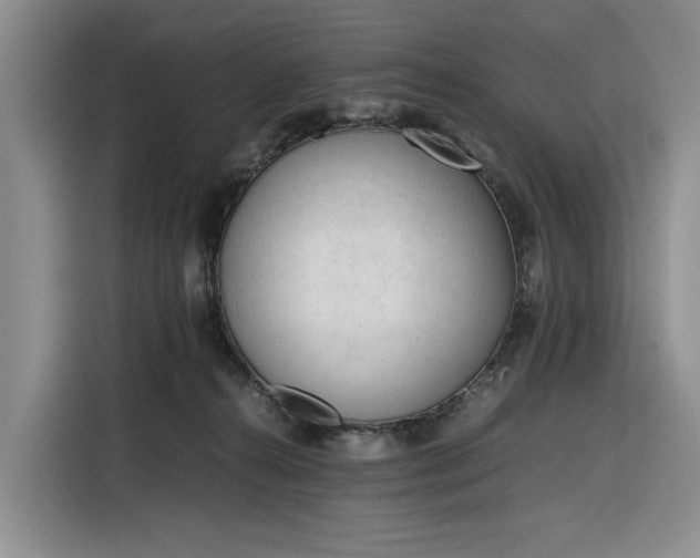 X0000116270272200912071048