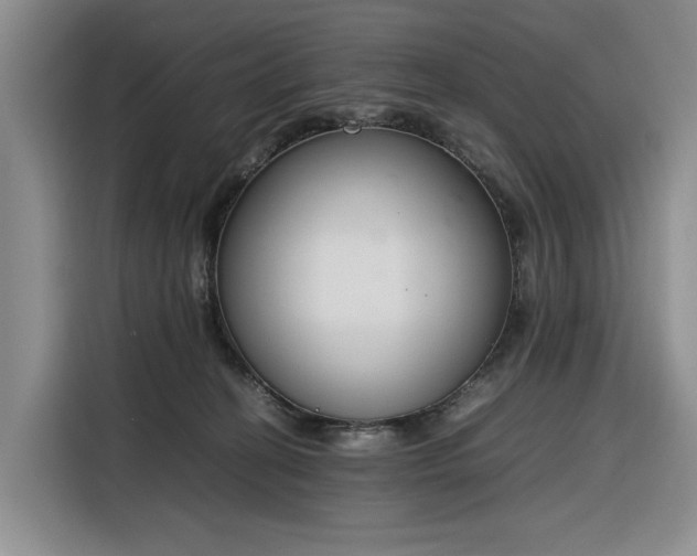 X0000116270274200912071048