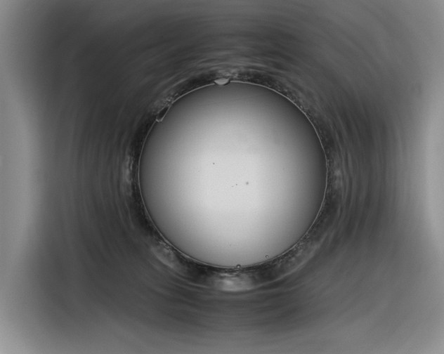X0000116270275200912071048