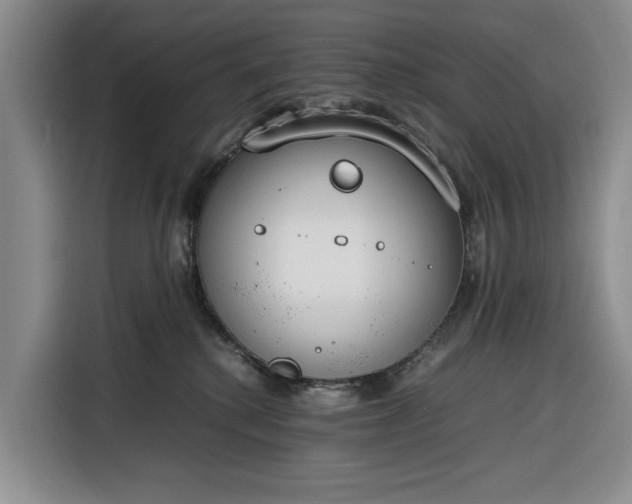 X0000116270280200912071048
