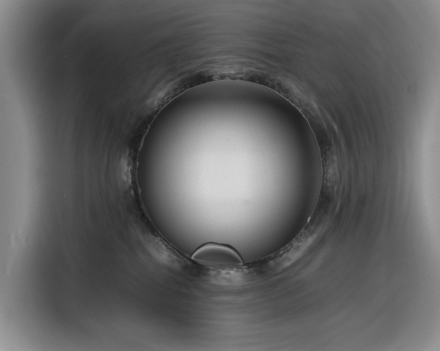 X0000116270282200912071048