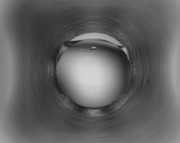X0000116270283200912071048