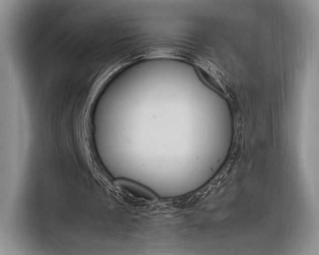 X0000116270289200912071048