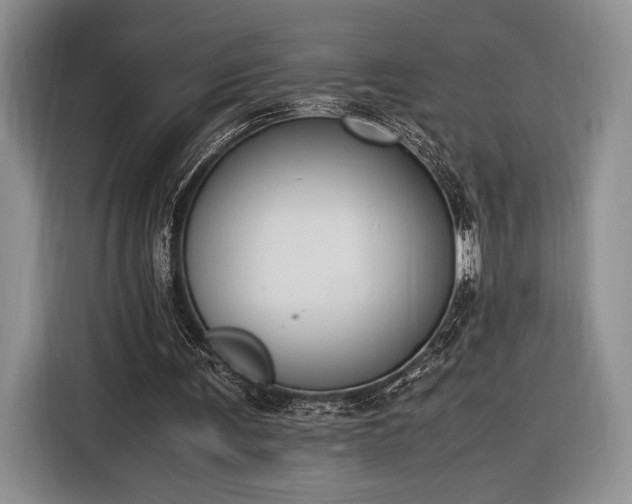 X0000116270291200912071048