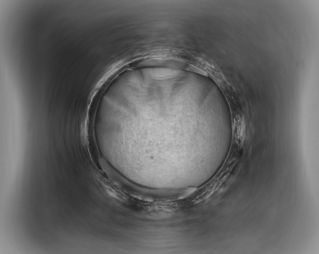 X0000116270292200912071048