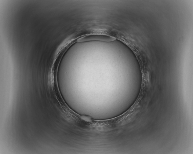 X0000116270294200912071048
