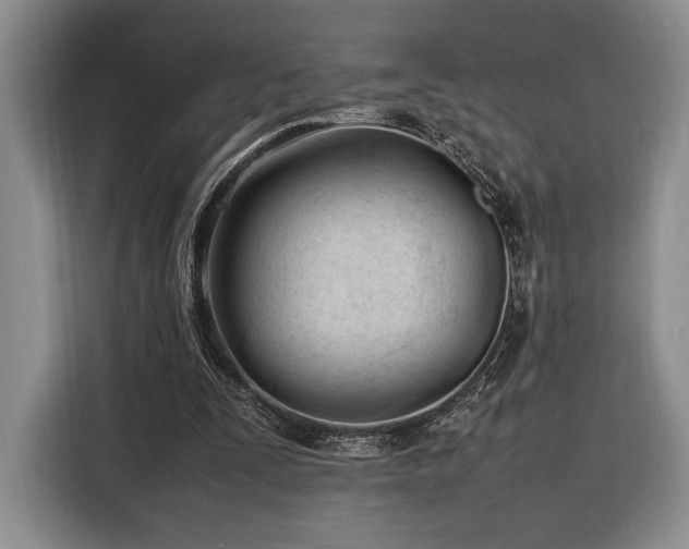 X0000116270295200912071048