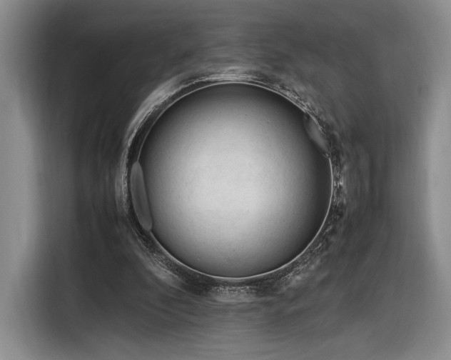 X0000116270296200912071048