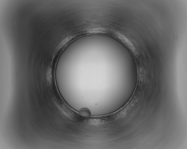 X0000116270298200912071048