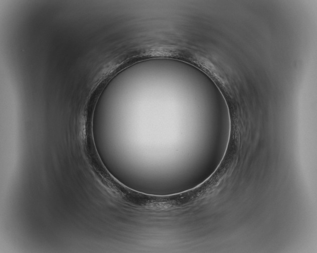 X0000116270299200912071048