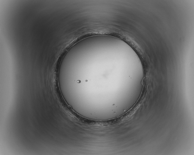 X0000116270305200912071048