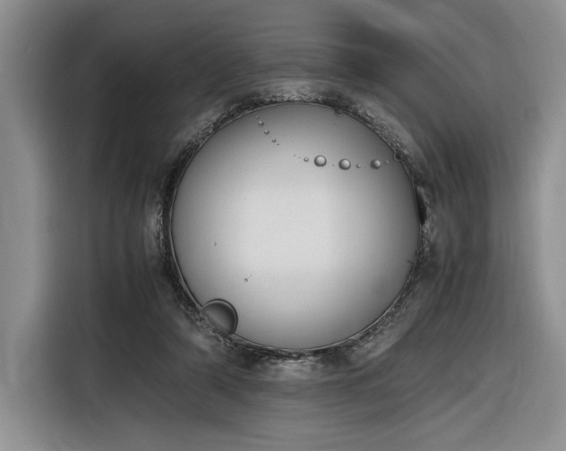 X0000116270306200912071048