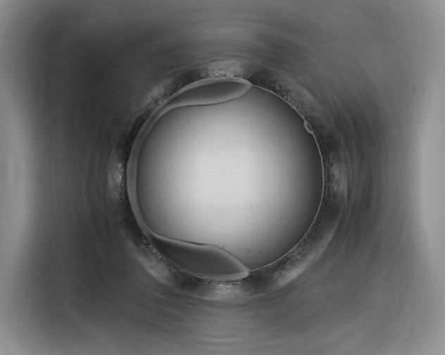 X0000116270308200912071048