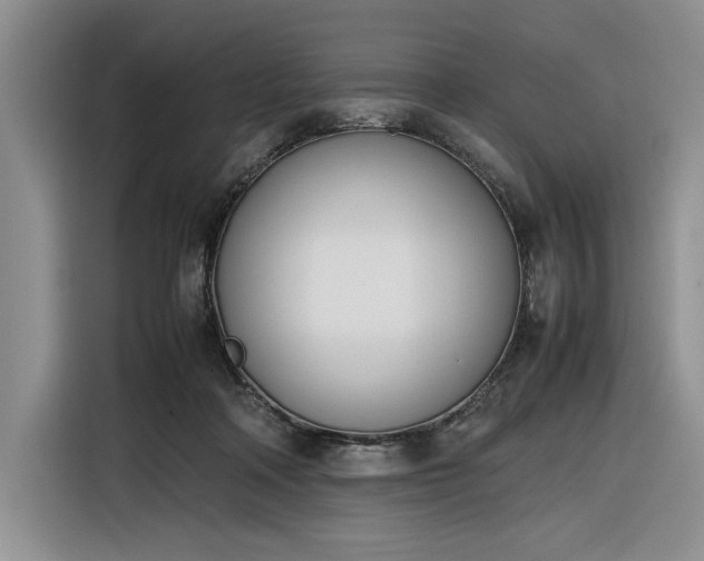 X0000116270314200912071047