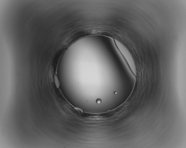 X0000116270316200912071047